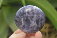 Polished Purple Lepidolite Palm Stones  x 12 From Zimbabwe