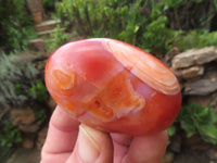 Polished Bright Red/ Orange Medium Sized Carnelian Palm Stones / Gallets - sold per kg - From Madagascar - TopRock