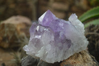 Natural Jacaranda Amethyst Clusters  x 3 From Mumbwa, Zambia - Toprock Gemstones and Minerals 