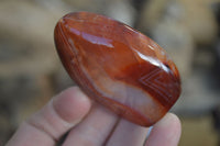 Polished Small Carnelian Agate Standing Free Forms  x 12 From Madagascar