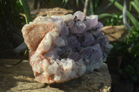 Natural Jacaranda Amethyst Cluster x 1 From Mumbwa, Zambia - TopRock