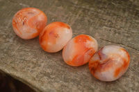 Polished Vibrant Carnelian Agate Palm Stones  x 35 From Madagascar - TopRock