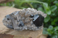 Natural Schorl Black Tourmaline & Smokey Quartz Specimens x 2 From Erongo Mountains, Namibia - TopRock