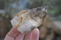 Polished Rare Small Inclusion Quartz Points x 6 From Madagascar