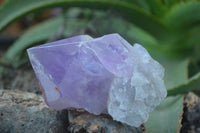 Natural Extra Large Single Jacaranda Amethyst Crystals  x 6 From Zambia - Toprock Gemstones and Minerals 