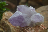 Natural Jacaranda Amethyst Clusters  x 3 From Mumbwa, Zambia - Toprock Gemstones and Minerals 