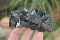 Natural Medium Sized Schorl / Black Tourmaline Specimens x 6 From Erongo, Namibia