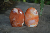 Polished Small Carnelian Agate Standing Free Forms  x 12 From Madagascar