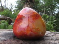 Polished Bright Red/ Orange Medium Sized Carnelian Palm Stones / Gallets - sold per kg - From Madagascar - TopRock