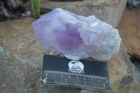 Natural Extra Large Single Jacaranda Amethyst Crystals  x 6 From Zambia - Toprock Gemstones and Minerals 