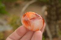 Polished Vibrant Carnelian Agate Palm Stones  x 35 From Madagascar - TopRock