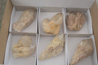 Natural Cascading White Phantom Smokey Quartz Crystal Specimens  x 6 From Luena, Congo - Toprock Gemstones and Minerals 