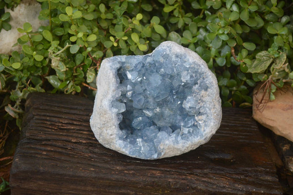 Natural Blue Celestite Geode Specimen  x 1 From Sakoany, Madagascar