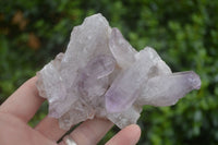 Natural Amethyst Crystal Specimens x 12 From Zambia - TopRock