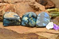 Polished Labradorite Standing Free Forms With Intense Blue & Gold Flash x 3 From Tulear, Madagascar - TopRock