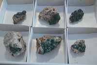 Natural Rare Ball Malachite On Drusy Quartz & Dolomite Matrix Specimens x 6 From Congo