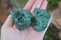 Natural Chatoyant Silky Malachite Specimens  x 12 From Kasompe, Congo