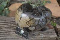 Polished Septerye Sauvage "Dragons Egg" x 1 From Mahajanga, Madagascar - TopRock