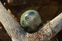 Polished Stromatolite / Kambamba Jasper Spheres  x 4 From Katsepy, Madagascar - TopRock