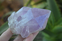 Natural Extra Large Single Jacaranda Amethyst Crystals  x 6 From Zambia - Toprock Gemstones and Minerals 