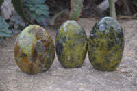 Polished Green Opal Standing Free Forms  x 6 From Madagascar