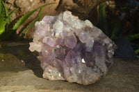 Natural Jacaranda Amethyst Cluster x 1 From Mumbwa, Zambia - TopRock