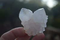 Natural Small Cactus Flower Quartz Specimens  x 24 From Boekenhouthoek, South Africa - Toprock Gemstones and Minerals 