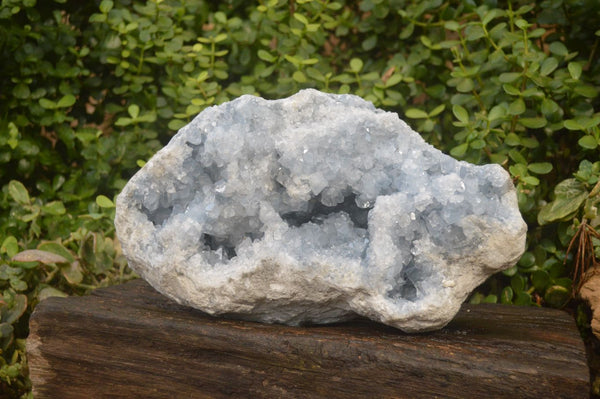 Natural Extra Large Celestite Geode Specimen  x 1 From Sakoany, Madagascar