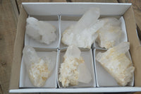 Natural Clear Quartz Crystal Clusters  x 6 From Madagascar