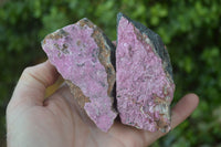 Natural Pink Salrose Cobaltion Dolomite Specimens  x 6 From Kakanda, Congo