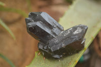 Natural Smokey Quartz Points & Clusters - Sold per 1 kg - From Erongo, Namibia - TopRock