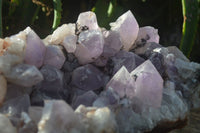 Natural Jacaranda Amethyst Cluster x 1 From Mumbwa, Zambia - TopRock