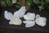 Natural Clear Quartz Crystal Clusters  x 6 From Madagascar