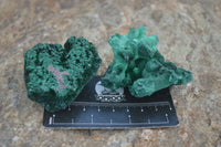 Natural Chatoyant Silky Malachite Specimens  x 12 From Kasompe, Congo