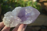 Natural Extra Large Single Jacaranda Amethyst Crystals  x 6 From Zambia - Toprock Gemstones and Minerals 