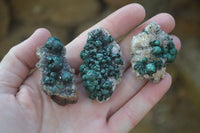 Natural Rare Ball Malachite On Drusy Quartz & Dolomite Matrix Specimens x 6 From Congo