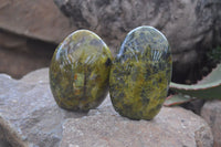 Polished Green Opal Standing Free Forms  x 6 From Madagascar