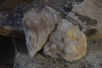 Natural Cascading Smokey Quartz Clusters x 3 From Luena, Congo