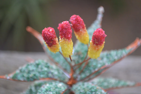 Polished Medium Gemstone Red Hot Poker Aloe - sold per piece -  From South Africa - Toprock Gemstones and Minerals 