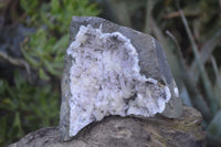 Natural Mixed Brandberg Quartz Matrix Specimens x 2 From Brandberg, Namibia