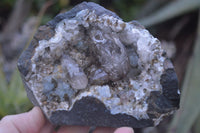 Natural Mixed Brandberg Quartz Matrix Specimens x 2 From Brandberg, Namibia