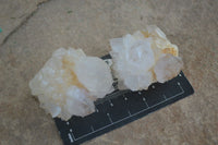 Natural Small Cactus Flower Quartz Specimens  x 24 From Boekenhouthoek, South Africa - Toprock Gemstones and Minerals 