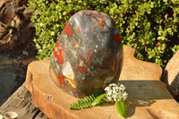 Polished XXL Bloodstone (Seftonite) Standing Free Form With Pyrite Specks  x 1 From Swaziland - TopRock