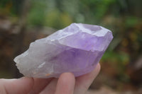 Natural Amethyst Crystal Specimens x 12 From Zambia - TopRock