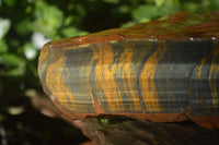 Natural Golden Blue Tigers Eye Specimens  x 2 From Prieska, South Africa - TopRock