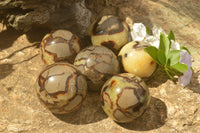 Polished Septarian (Calcite & Aragonite) Spheres  x 5 From Mahajanga, Madagascar - TopRock