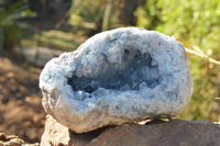 Natural Blue Celestite Geode Specimen  x 1 From Sakoany, Madagascar - TopRock