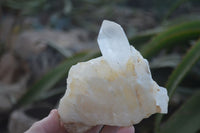 Natural Clear Quartz Crystal Clusters  x 6 From Madagascar