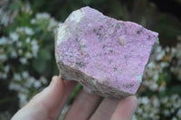 Natural Pink Salrose Cobaltion Dolomite Specimens  x 6 From Kakanda, Congo