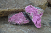 Natural Pink Salrose Cobaltion Dolomite Specimens  x 6 From Kakanda, Congo